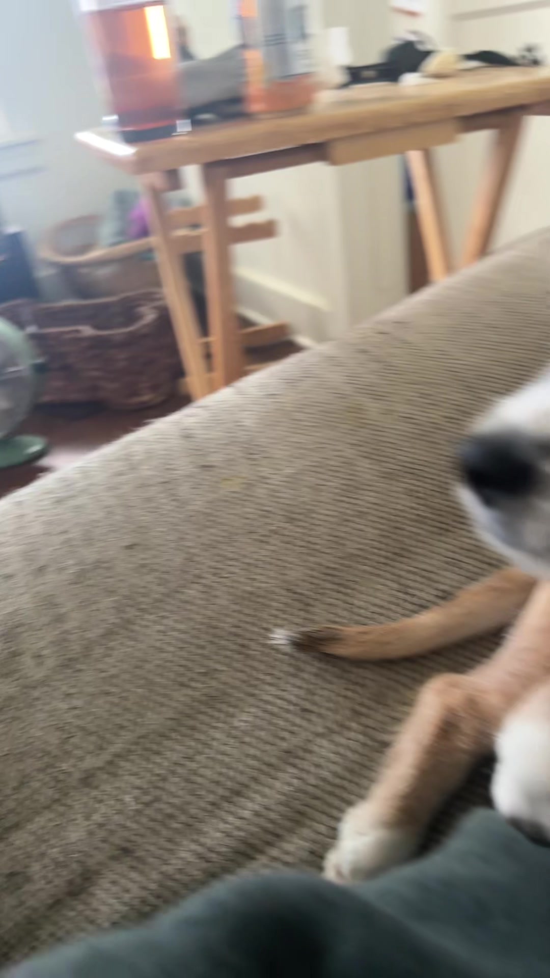 @han