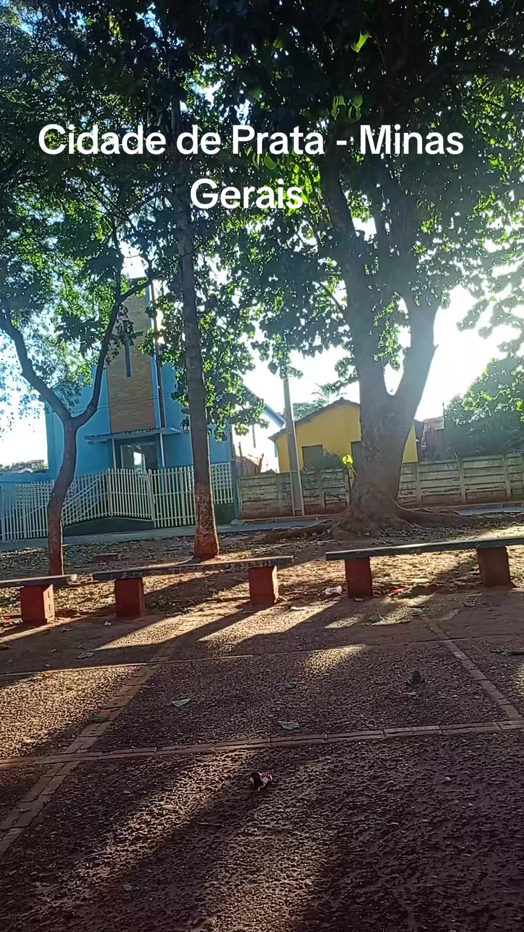 @Adriana Aparecida Si