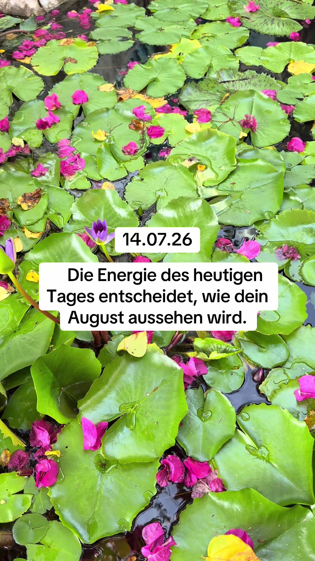 @numerologie_mit_kate