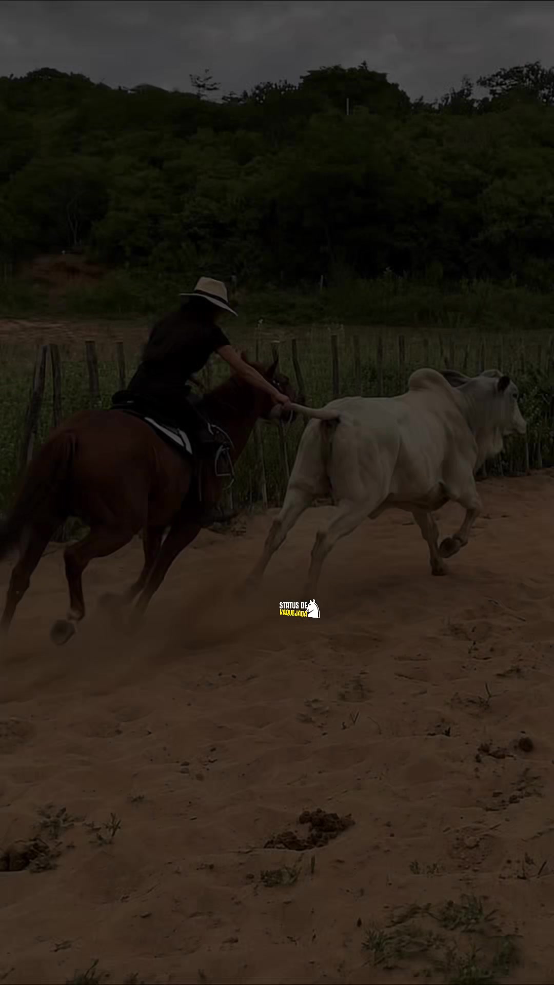@Mini vaqueira do sertão 🐎🌵