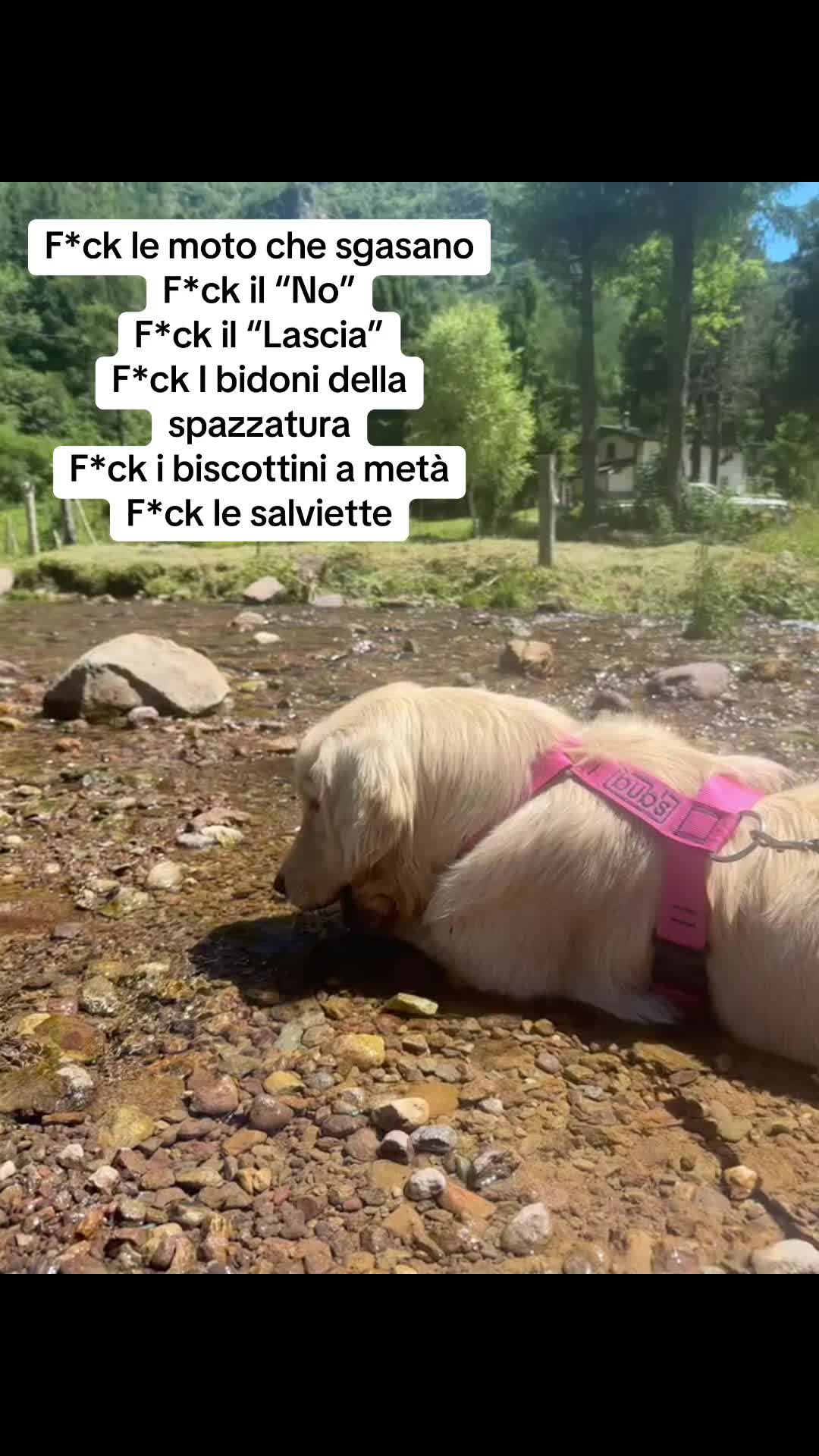 @Raffa&Cali