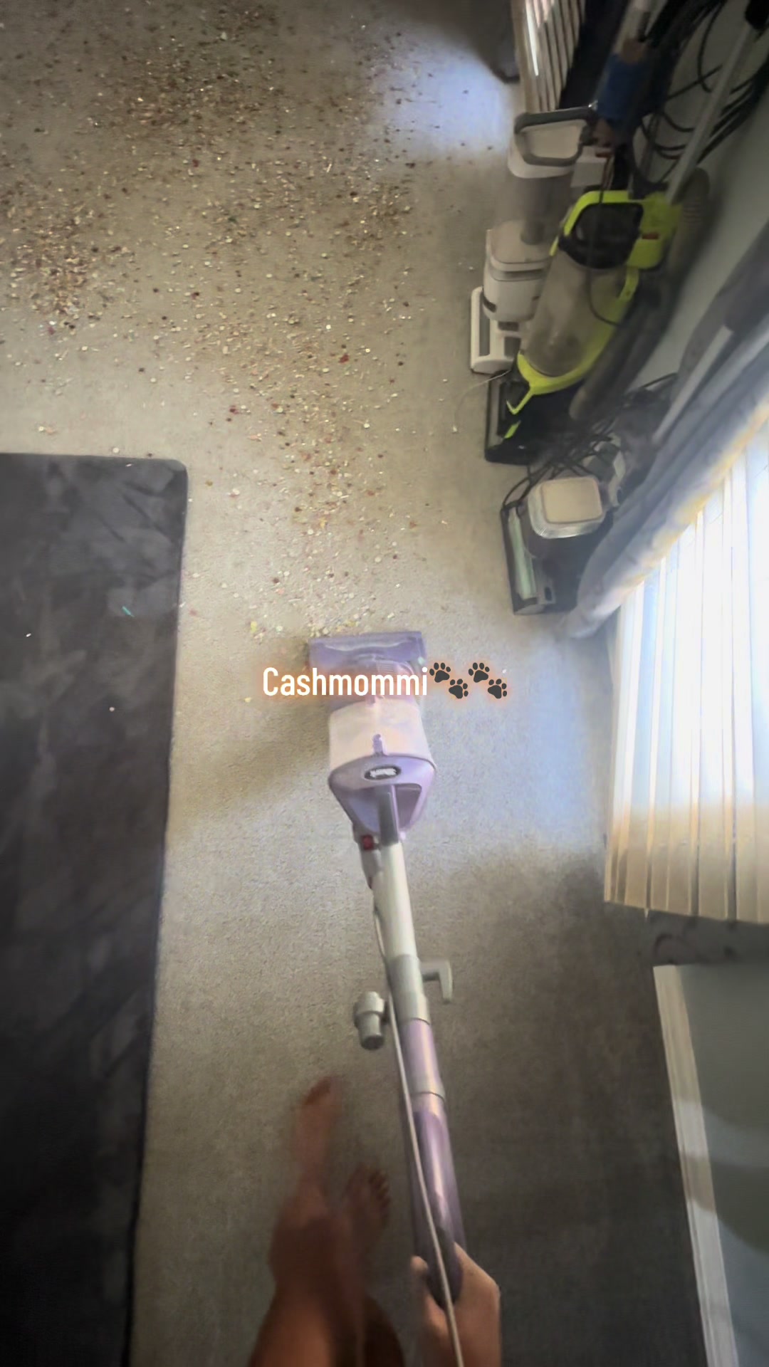 @CashmommiVacs