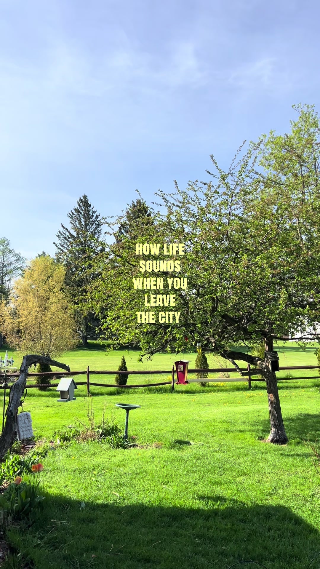 @Ri 🐝