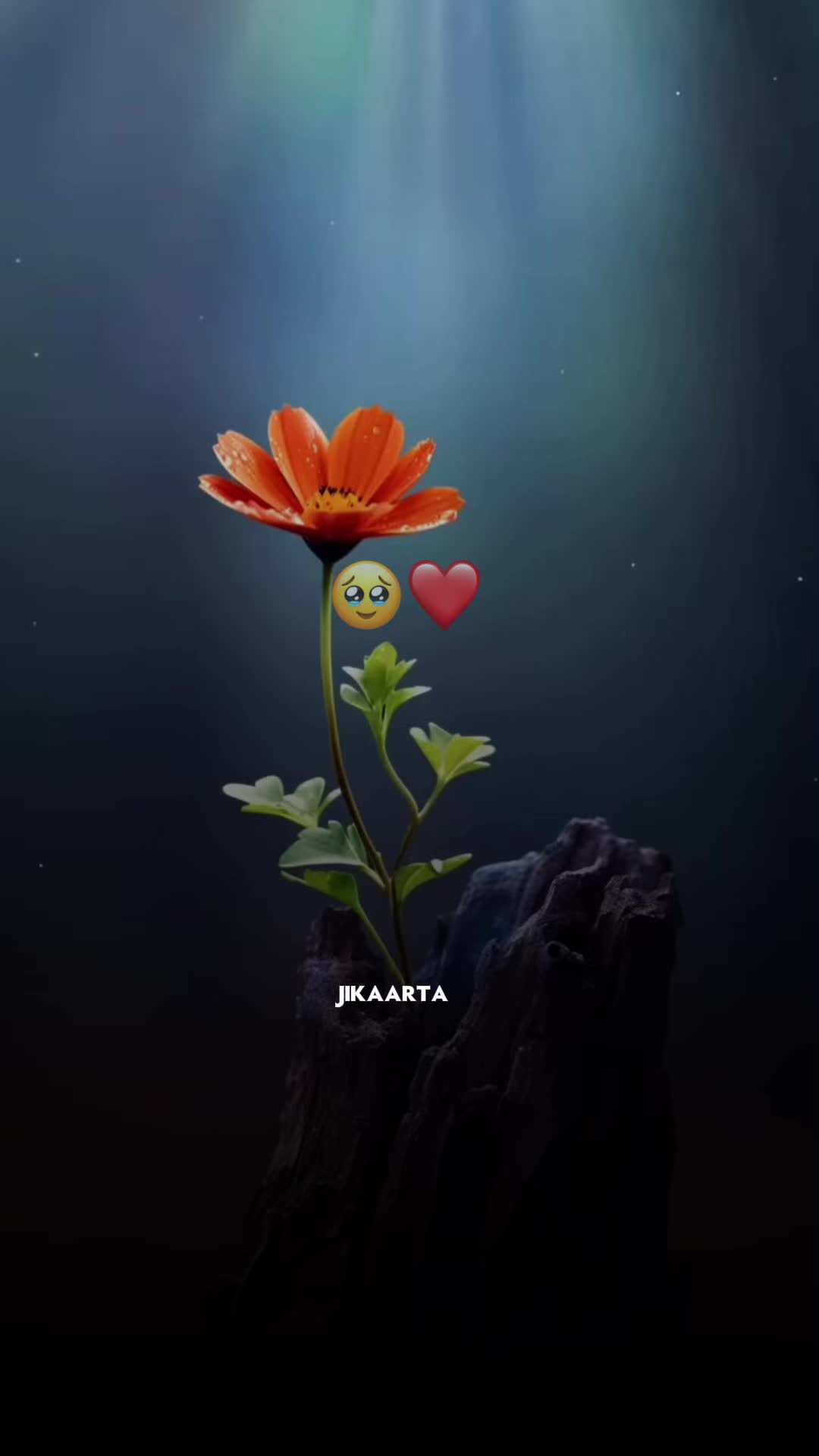 @ᒍIKᗩᗩᖇTᗩ_22🐬🖤