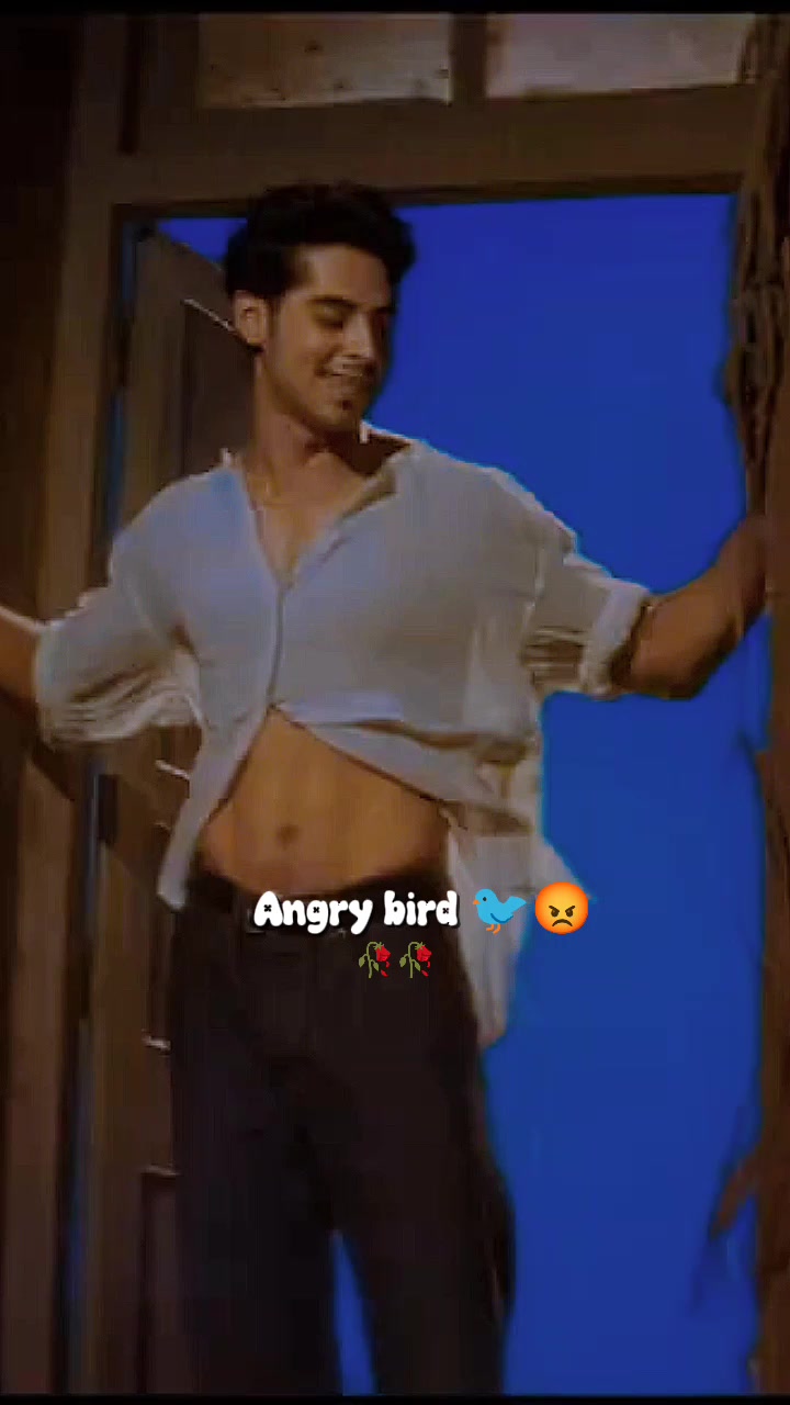 @💫𝖆𝖓𝖌𝖗𝖞 𝖇𝖎𝖗𝖉𝖘💫💥