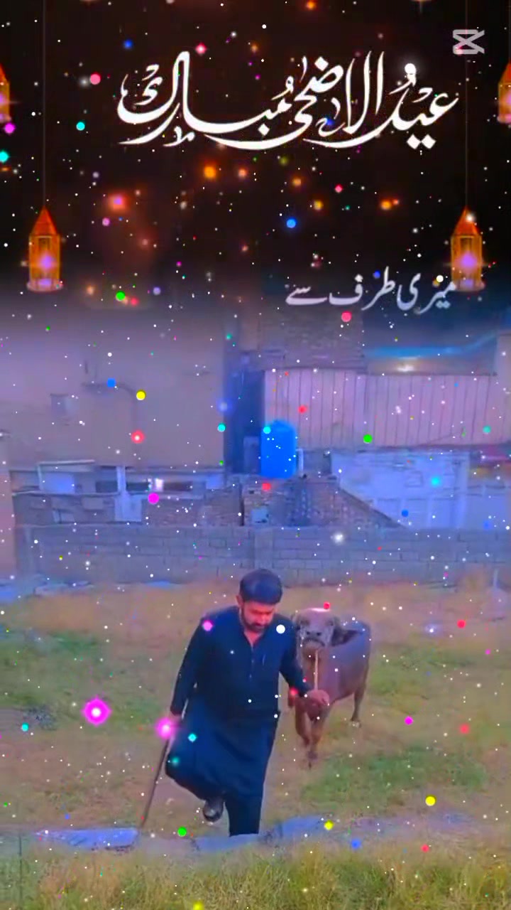 @MEHRAN FIDA🇮🇩🇵🇰❤️❣️❤️