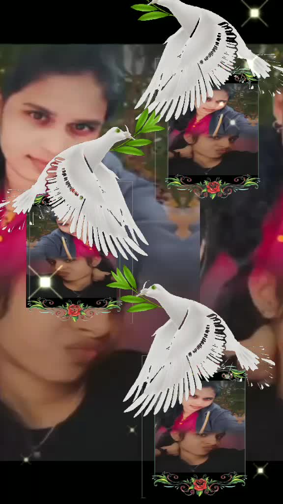 @kutti kutt