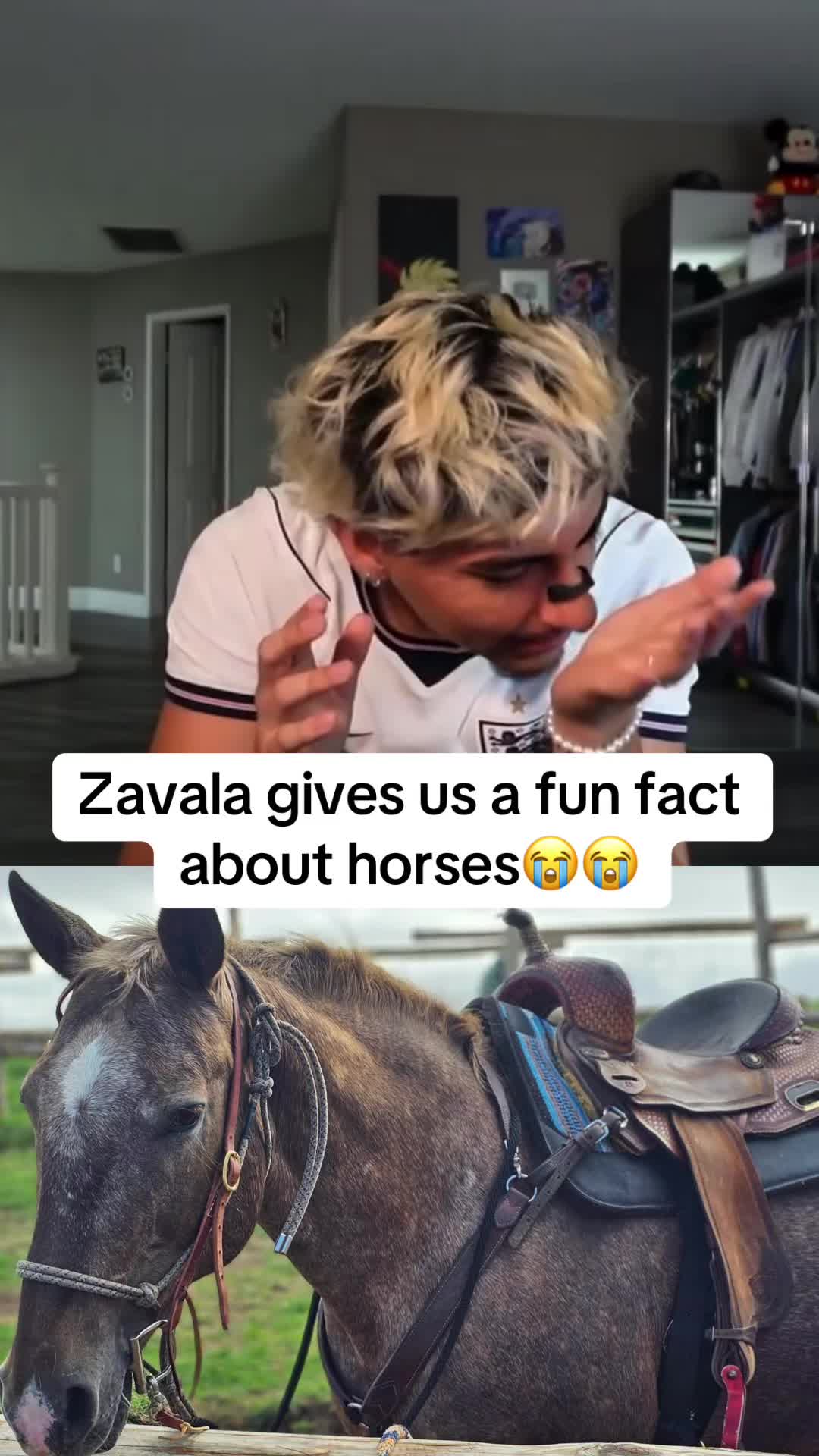 @milleclips