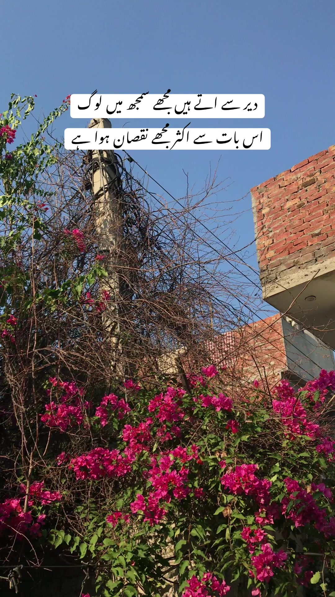 @فیضہ🤍