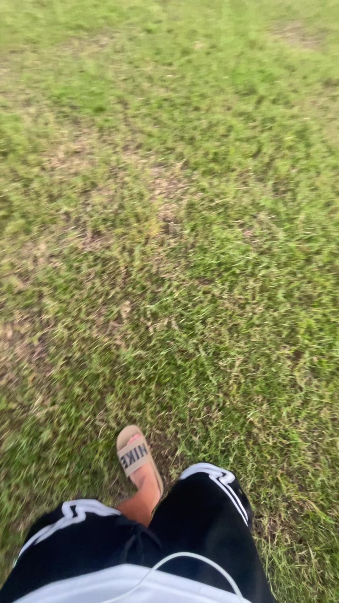 @เเซดบอย