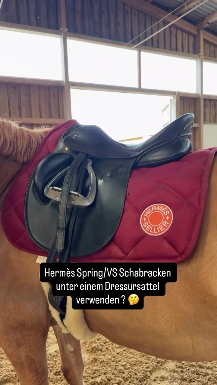 @Sophia • SL Reitschule