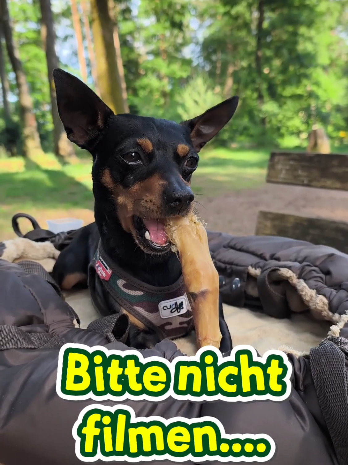 @ICH BIN'S