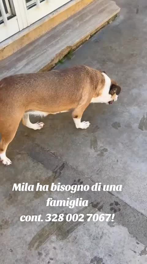 @Vanessa Loria