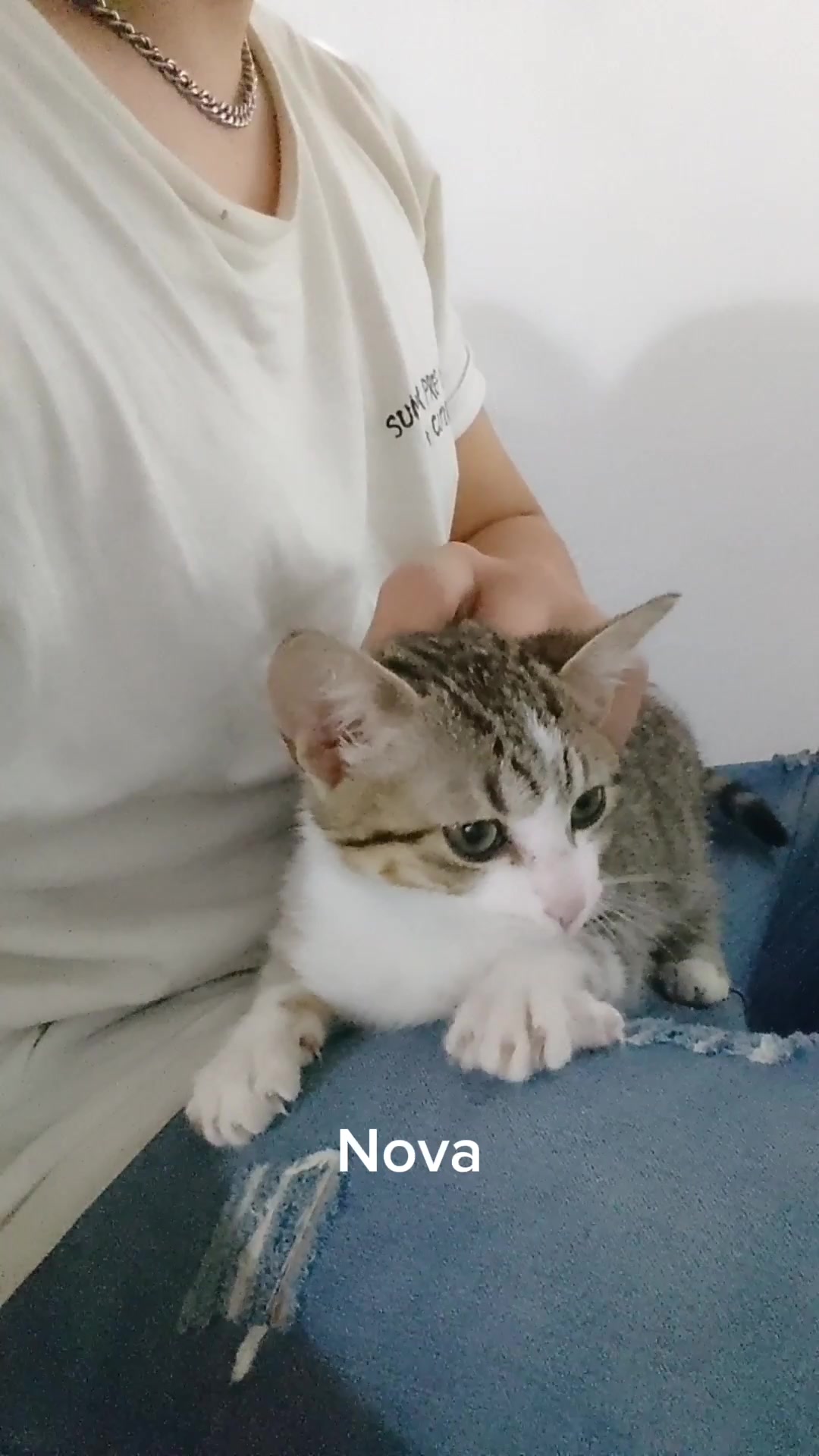 @Adriel Meza