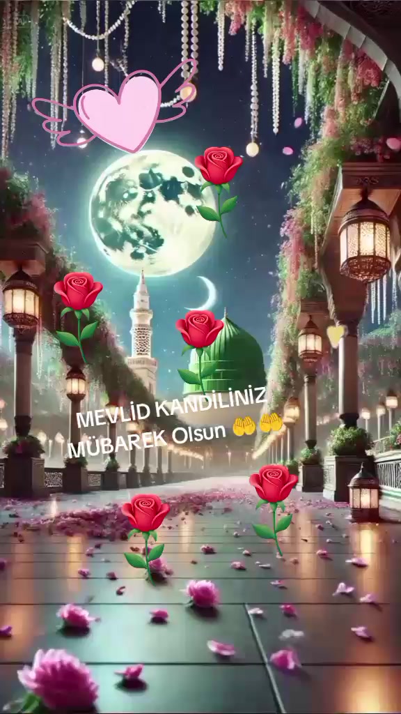 @2763mahmut