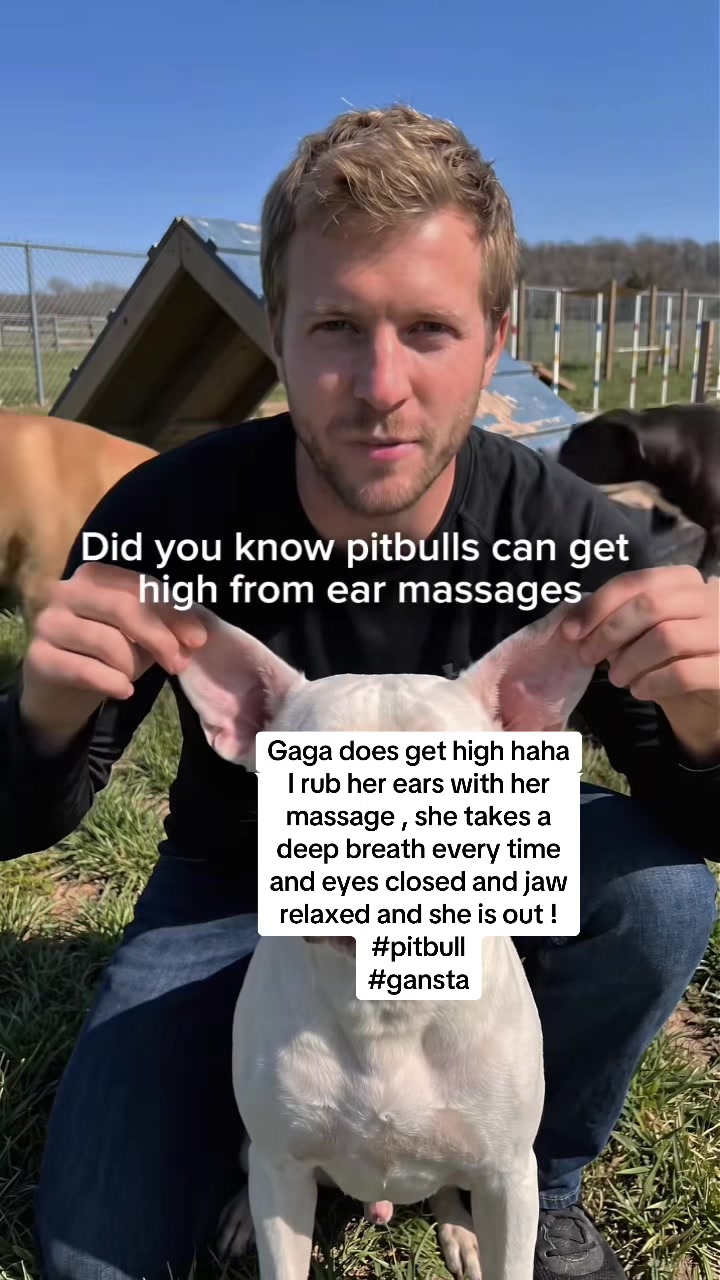 @ganstagirlsoklahoma