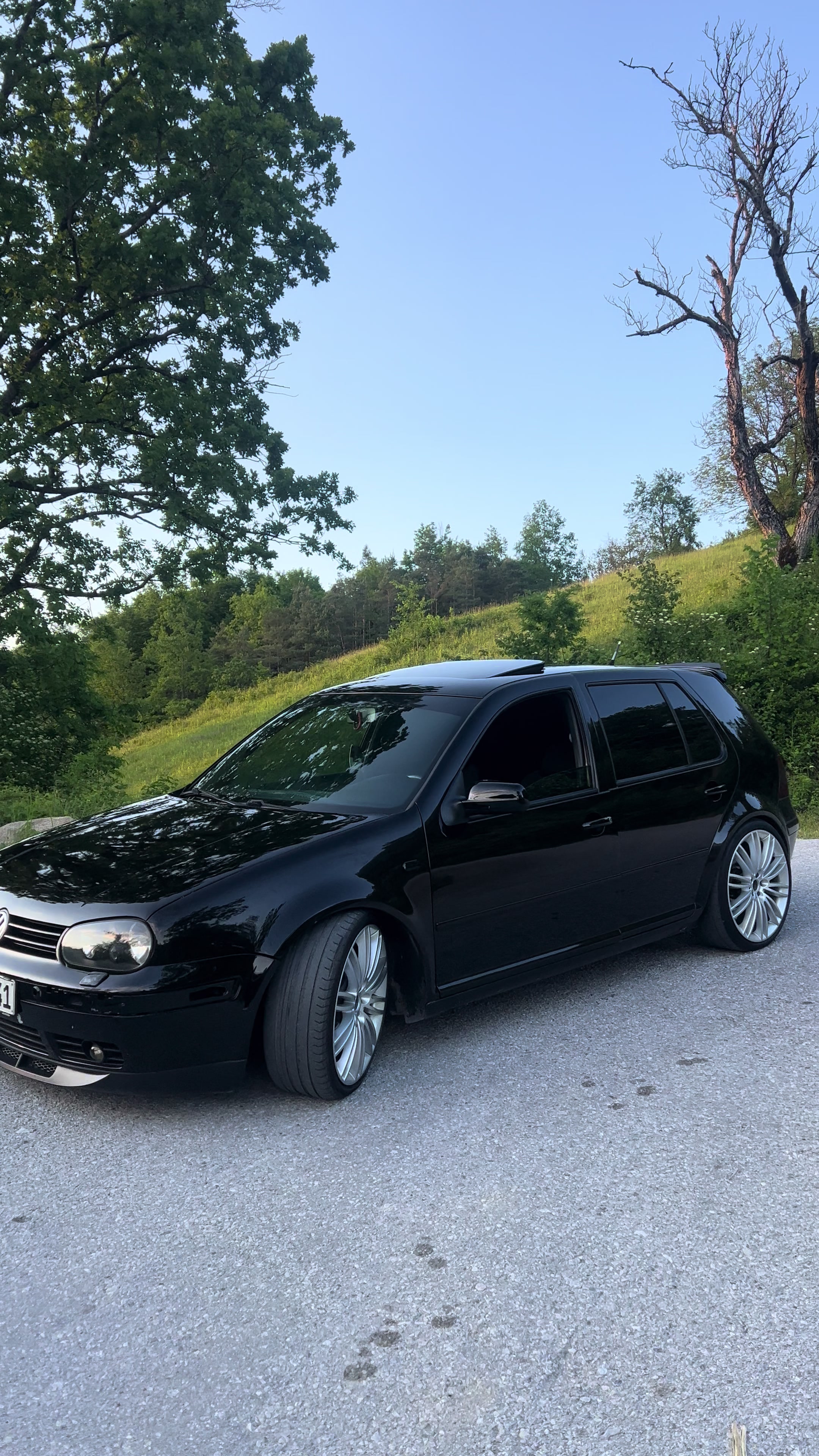 @Seno Osmičević