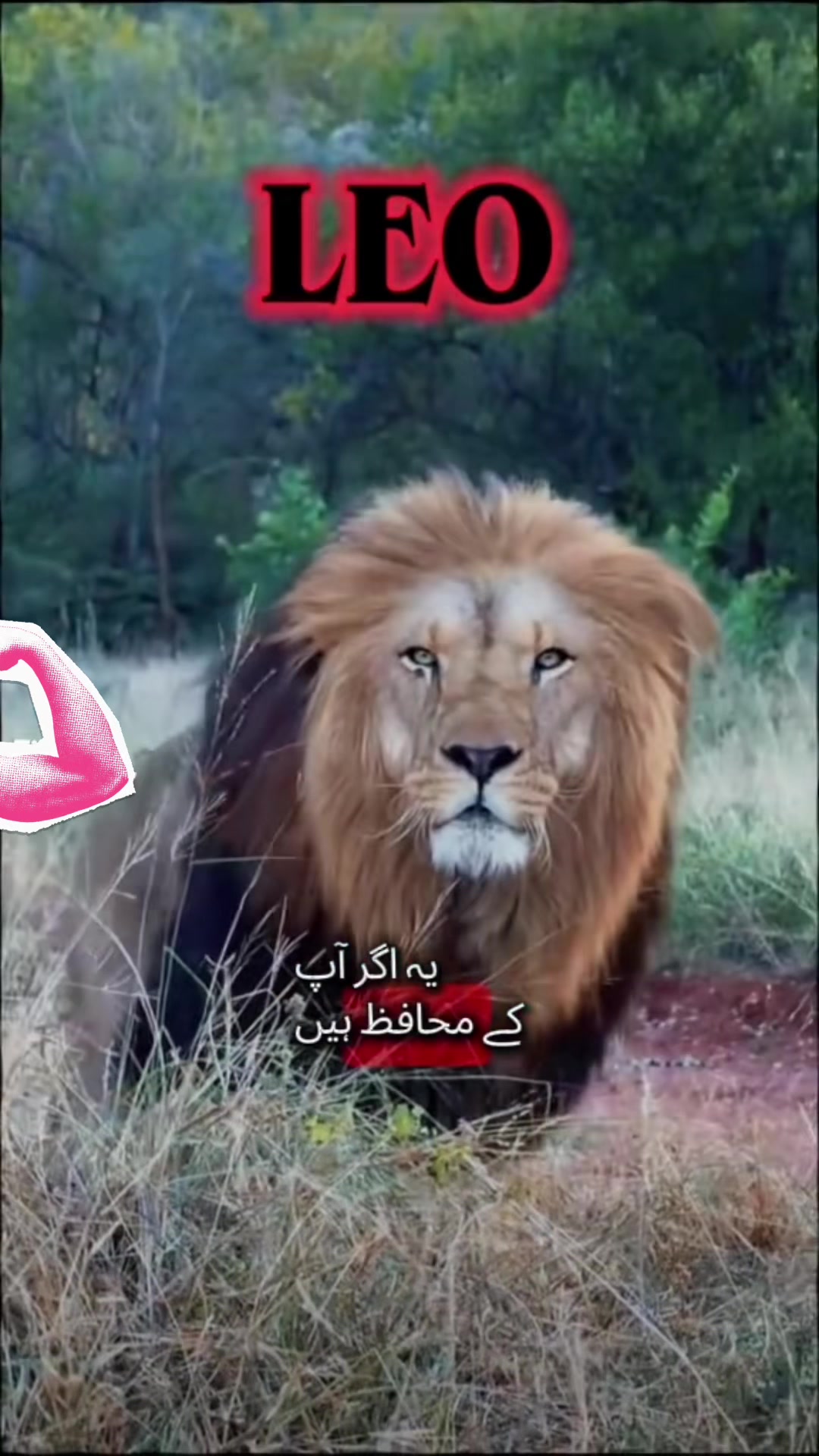 @Rabi