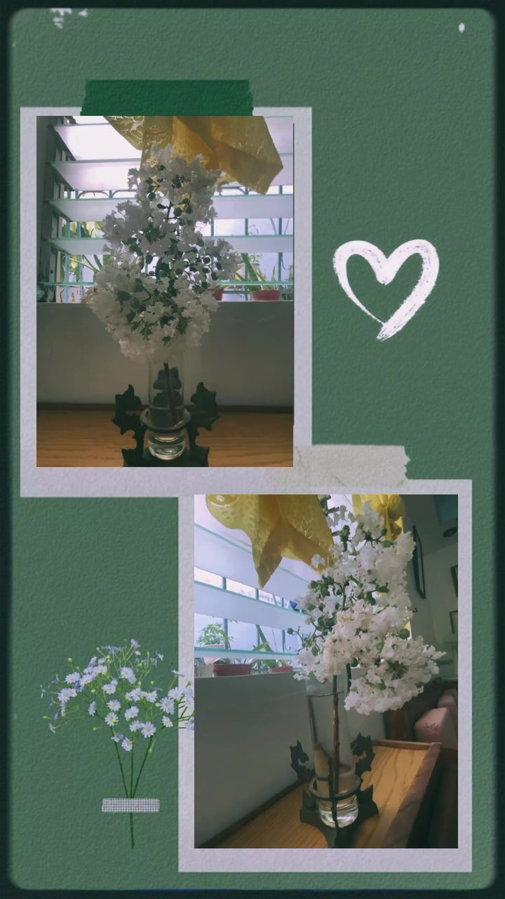 @Aira Finds🌹