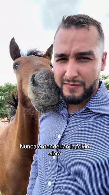 @Luis Fernando Silva 🐎🔥