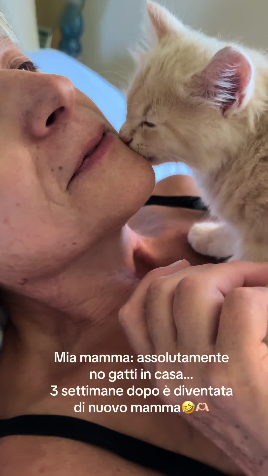 @monique