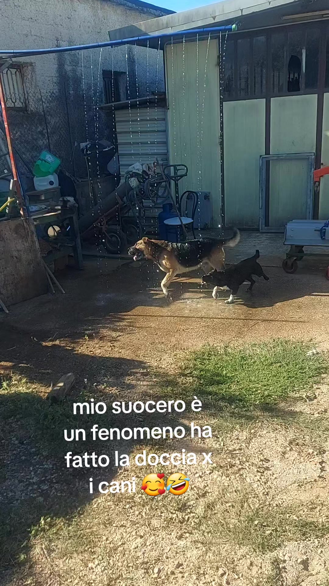 @franco senato