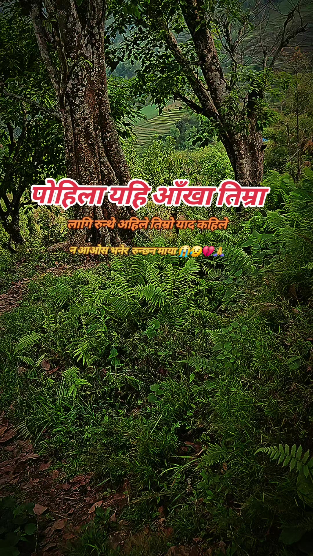 @AASHISH🤗🤗