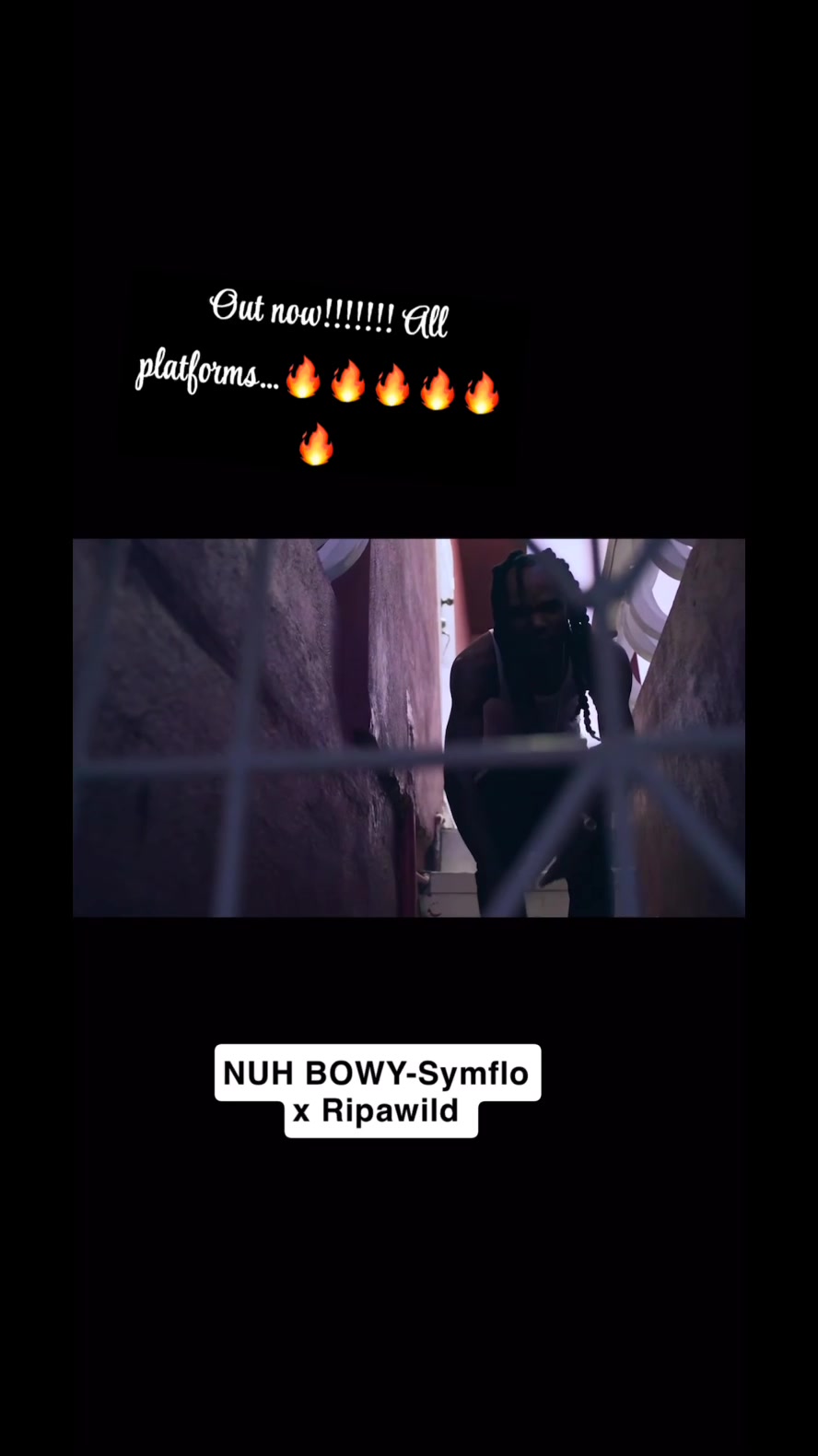 @ripawild