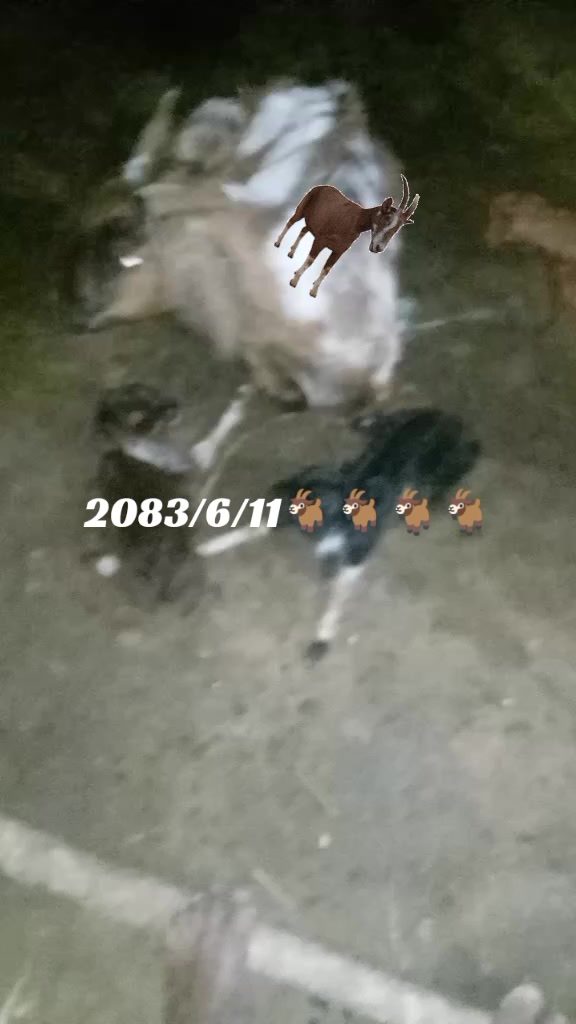 @miss you ๐๐๐