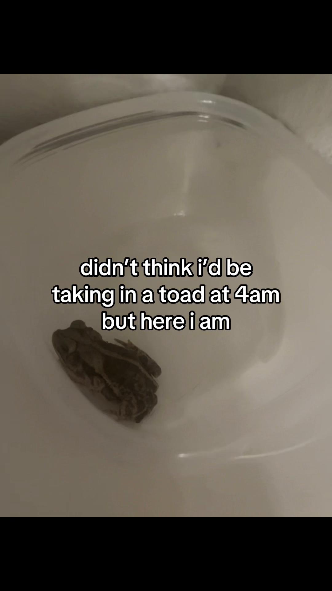 @Doobie