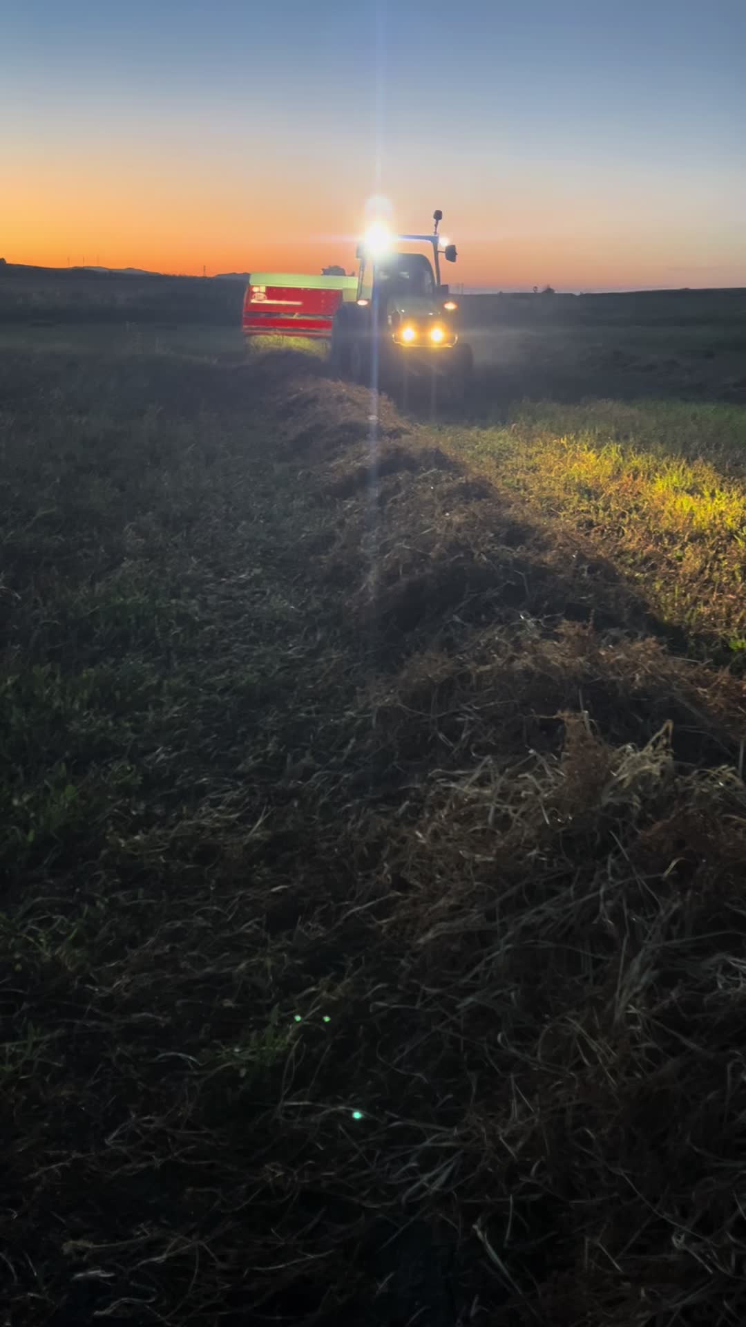 @DV.farm96
