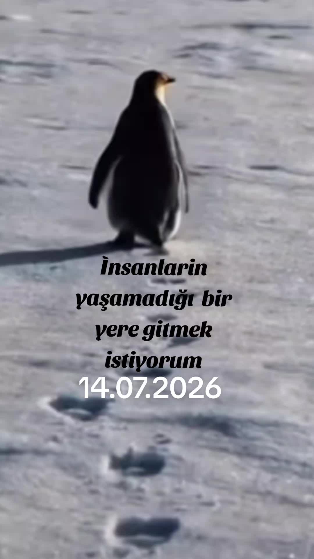 @Gülocan_52_🇹🇷_🇩🇪_🍀_❤️🩹