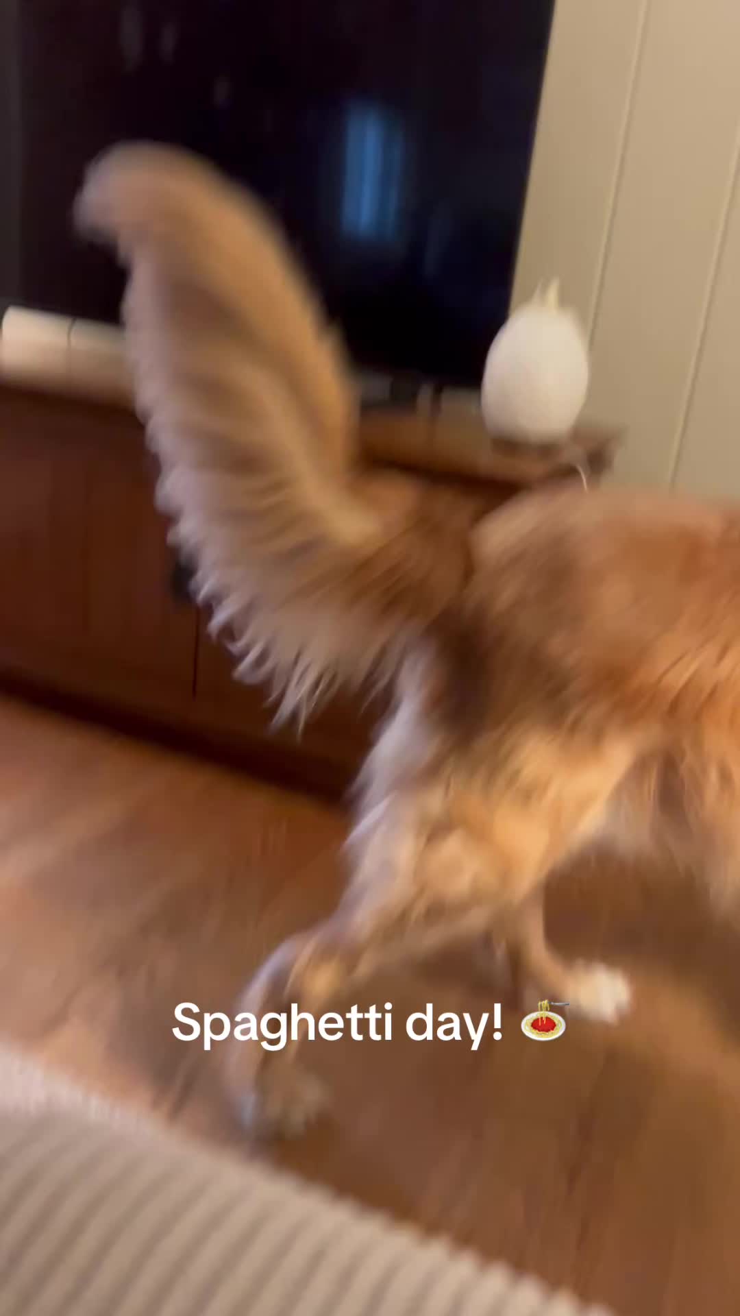 @lifewithduke2025
