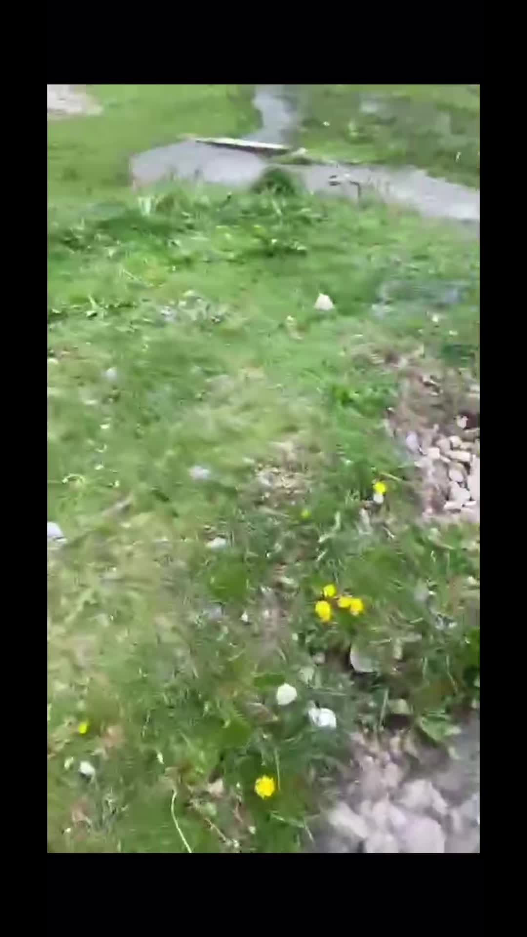 @skorpija66