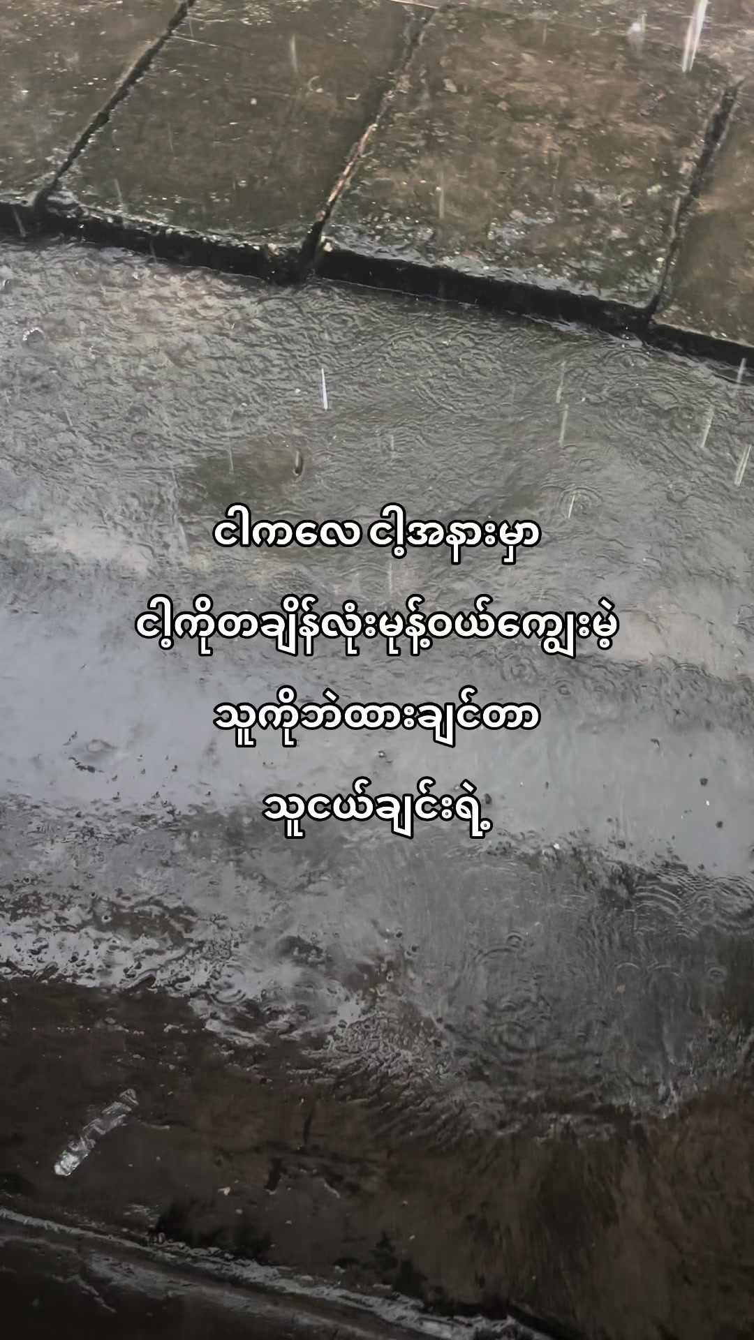 @⋆. 𐙚 ˚𓏲𑁘 Chue⋆.
