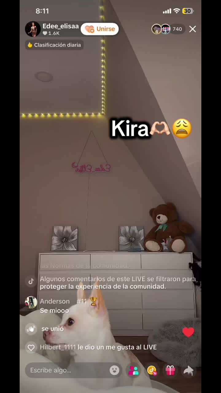 @elizaywilly