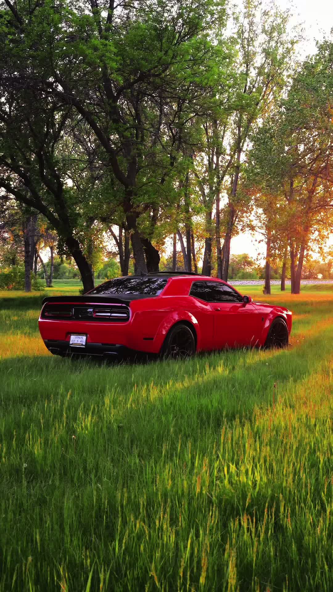 @717.jo