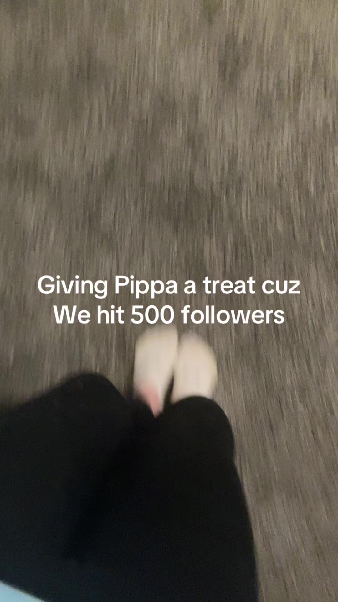 @Pippa&syd