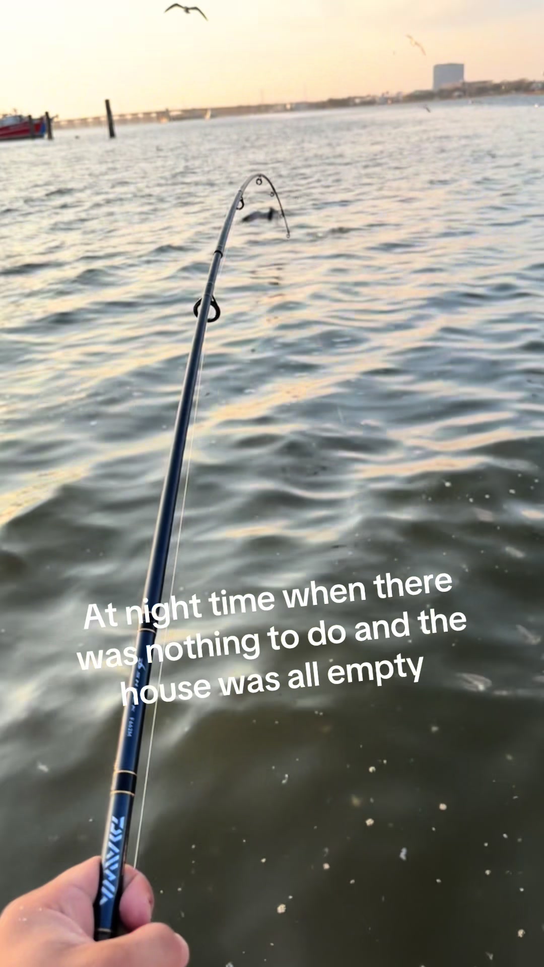 @Jmoe