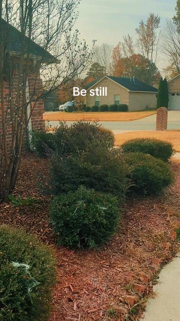 @Author Theresa Cook