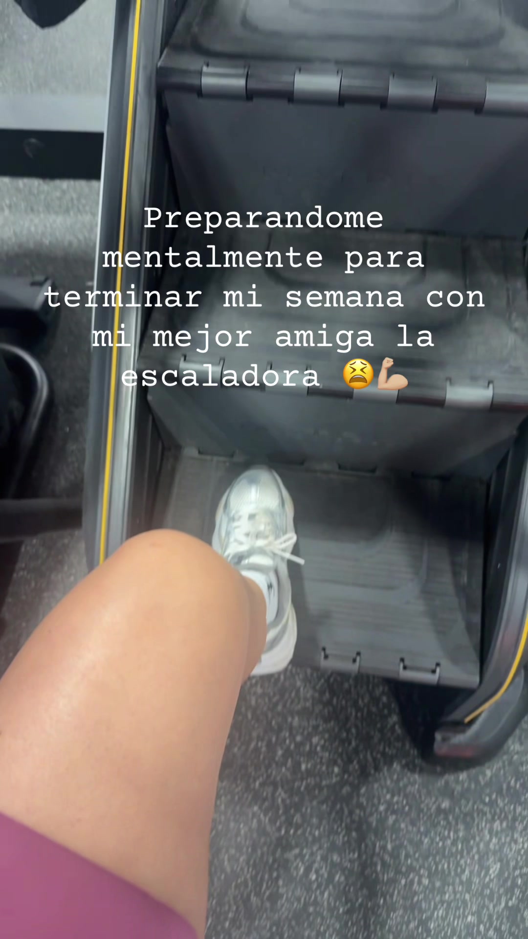 @La chatta