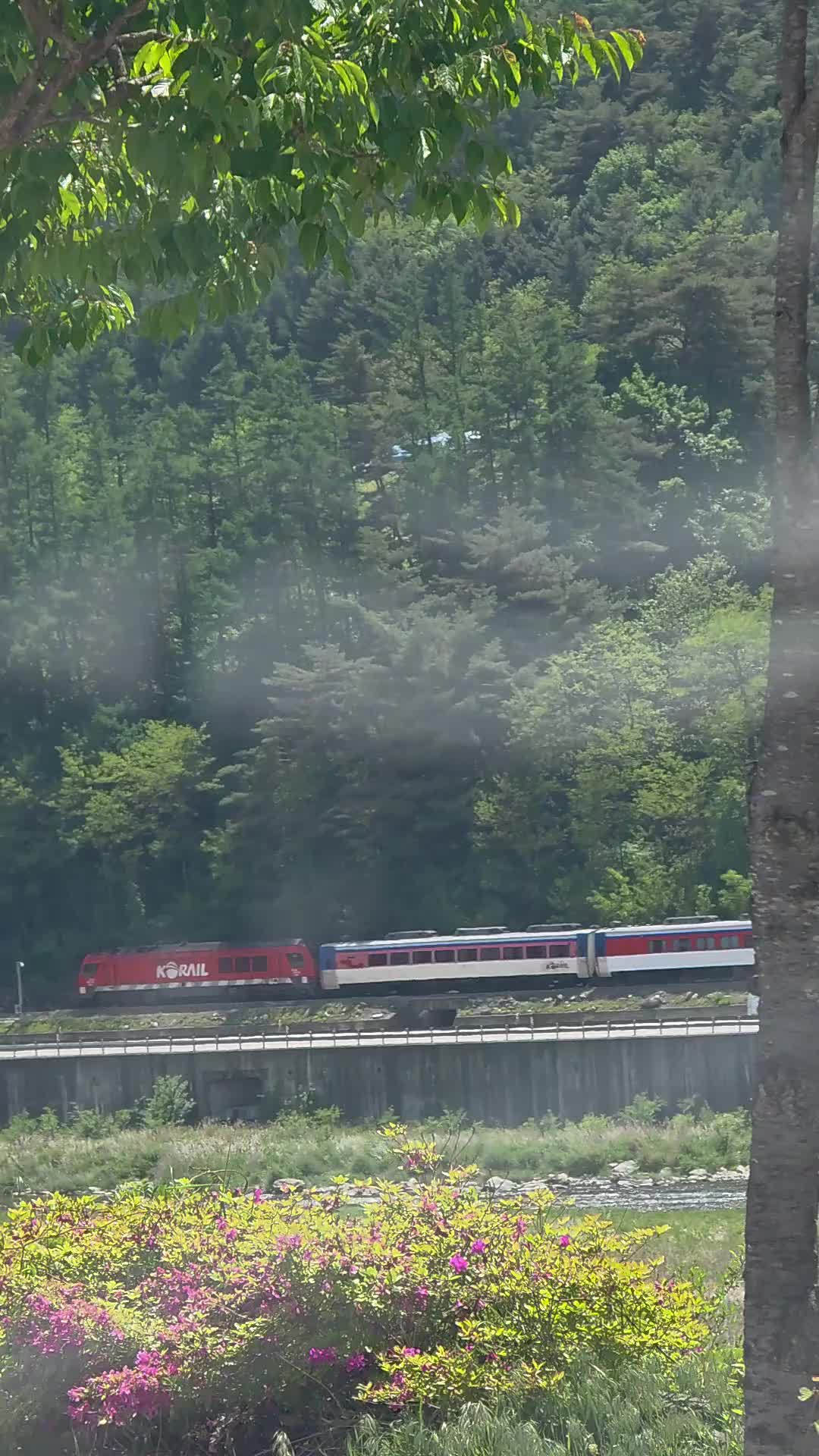 @유튜브 "정선사람들" 안용현