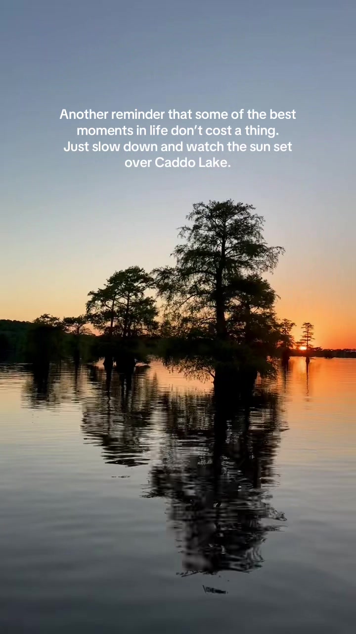 @Caddo Lake FirstCastCabin