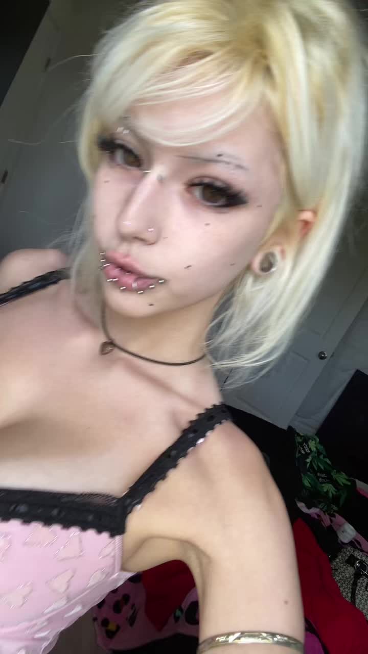 @🐾