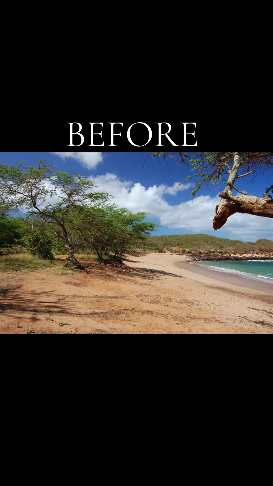 @Hawai’i loa kūlike kākou