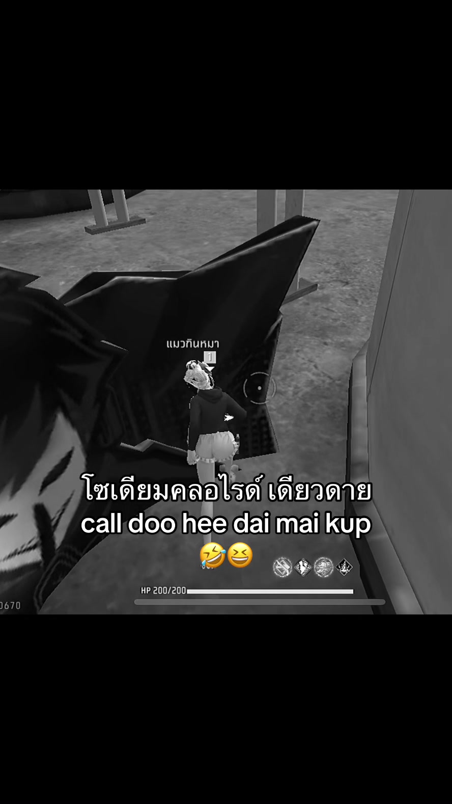 @แมวไม่มีเจ้าของ