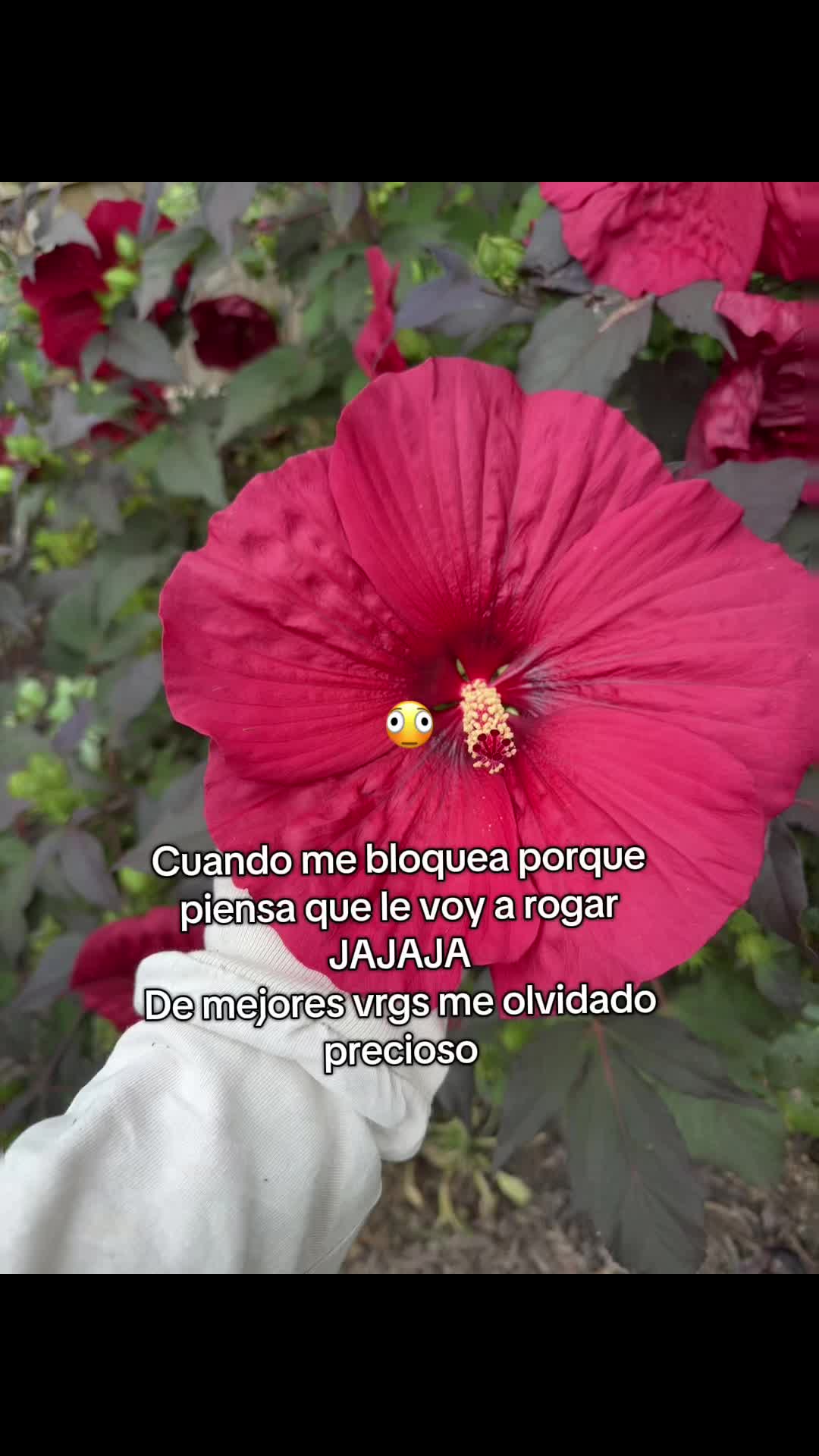 @Melany🎀