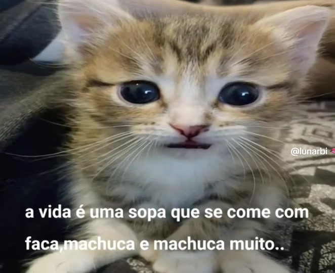 @lunarbi 🫦