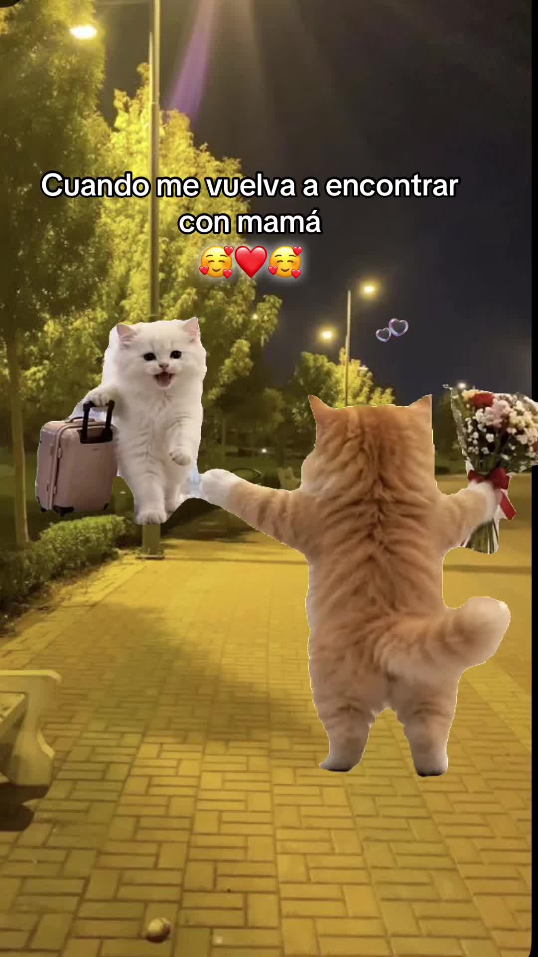 @𝓜𝓪𝓻𝓰𝓪𝓻𝓪.𝓞𝓯𝓲𝓬𝓲𝓪𝓵✨