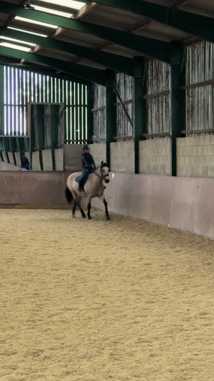 @Bronte&Alfie🍳🤎🐴